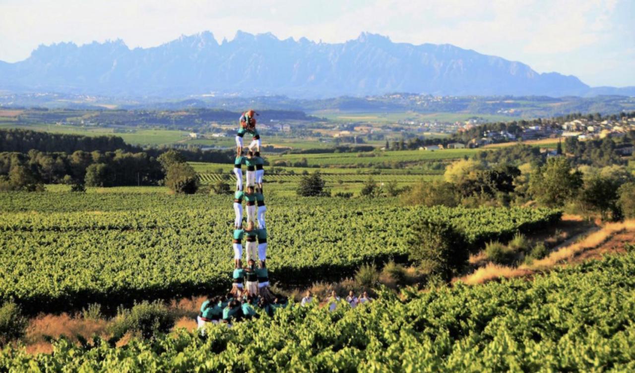 Tina De Vila, En La Capital Del Vino Vilafranca del Penedès Eksteriør bilde