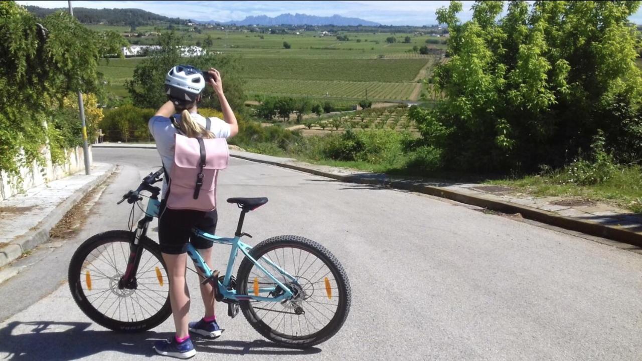 Tina De Vila, En La Capital Del Vino Vilafranca del Penedès Eksteriør bilde
